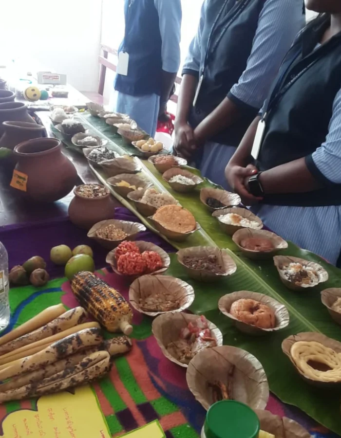 Untitled design (24)